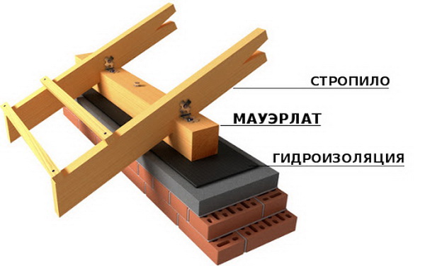 Что такое мауэрлат